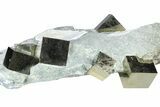 Spectacular Natural Pyrite Cube Cluster in Rock - Navajun, Spain #361779-1